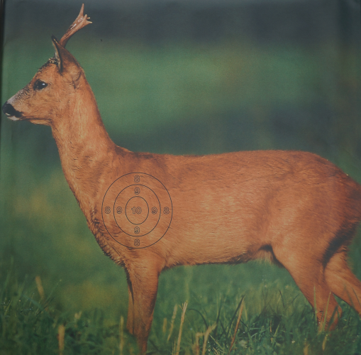 Jagdprüfung.ScheiREHBOCK.86x122+Sp10STk.