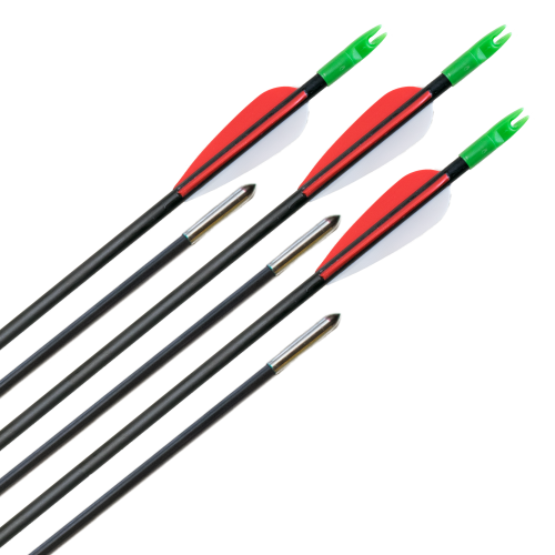 Carbon Pfeile Archery Club 6mm 6Stk.