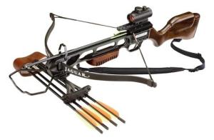 AC Armbrust JAGUAR Woody Red Dot Qu  Set