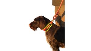 Hunde Schweißhalsung Trail Gr.M