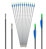 Arch.Club Carbon 5,5mm 30\\"         1Stk.