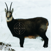 Jagdscheibe Öst.GAMS.86x122+Spiegel10STk.