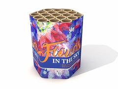 Fire Colorful Emotion