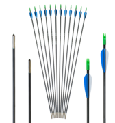 Arch.Club Carbon 5,5mm 30\\"         1Stk.